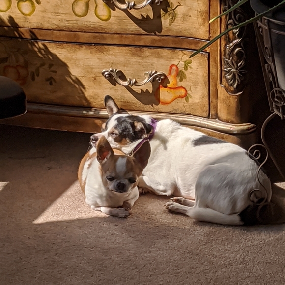 Meet your Posher, Karen - Picture 2 of 10